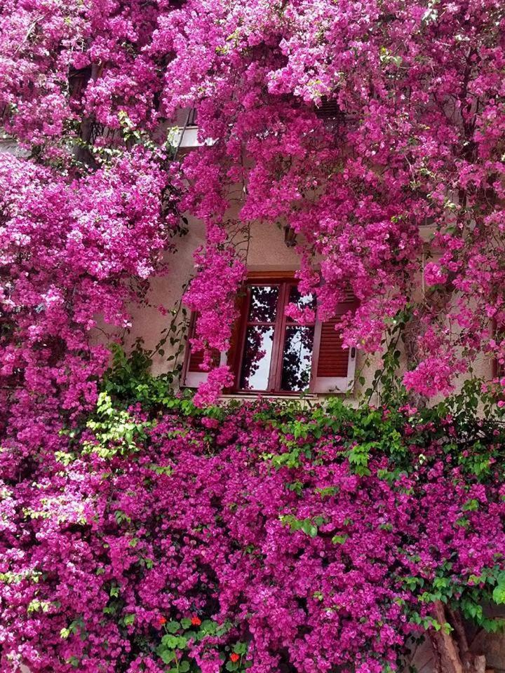 Iliolithos Rooms Kardamyli Exterior foto